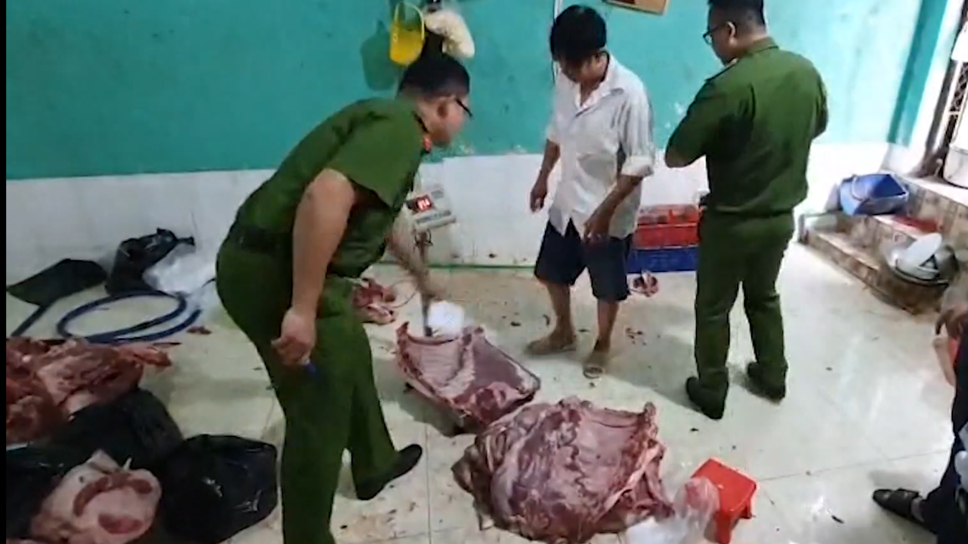 Mua lợn nái chết với giá 1 triệu đồng/con về "xẻ thịt" để bán 